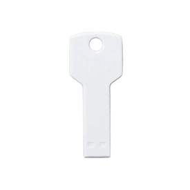 Anahtar USB Bellek 8 GB