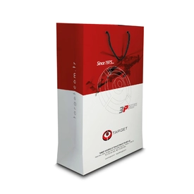 ALA-54 BÜYÜK BOY DİKEY KARTON ÇANTA(36x23x10.5 cm)